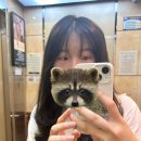 인환농장 | 웃짜요 웃!자!