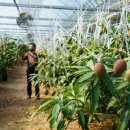 해남군농업기술센터 이미지