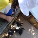 세븐일레븐 강화길상중앙점 이미지