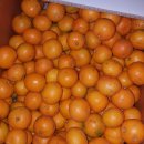 선화농원 이미지