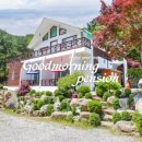 자작나무숲펜션 이미지