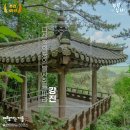 도암중학교 | [추천 45선] 걷기 좋은 여행지 l 강진, 강진만 자연을 벗 삼아 다산 정약용 선생의 발자취 따라 걷는...