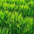 희망부동산중개 이미지