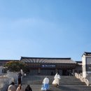 서화도서관 | 서울 실내 아이와 가볼만한곳 국립고궁박물관 전시 어린이실 카페 후기