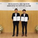 브레인솔루션