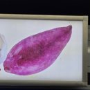 통기타(1년) | 신도림 합주실 두탕 뛴 후기 | 일상합주실, 뮤지트