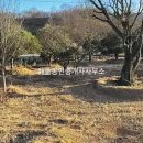 주암면 행정복지센터 네이버블로그