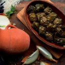 렌즈나라 이미지