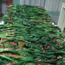 둥이네농장2 이미지