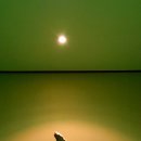 아라요가원