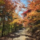 기장 아홉산, 테마임도..+ 대운산 울산수목원... 이미지