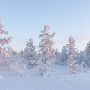 모닝스크린골프장 이미지