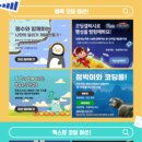 비버코딩 이미지