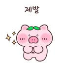 오리대가 이미지