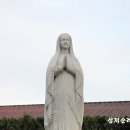 하느님의 종 권절신 암브로시오（1736〜1801）[순교자 전] 이미지