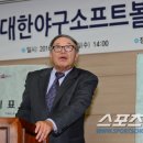 국민생활체육전국소프트볼연합회 이미지