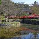 명재목장 이미지