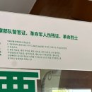 상하이 가볼만한곳, 야생동물원 입장료, 자전거대여, 치타식당