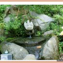 광덕사약수터 이미지