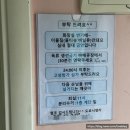 도로시밸리