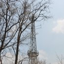 봉화산 도당굿 이미지