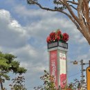 오곡파출소 | 곡성세계장미축제 주말 주차장 입장꿀팁 증기기관차