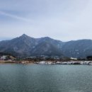 용산호호