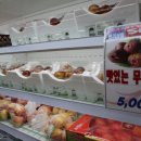 월야농장 네이버블로그