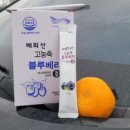 배뫼산블루베리