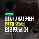 하남 미사미용실 언리밋헤어 미사 / 새치커버 전체염색 후기