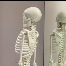 석메디칼 이미지