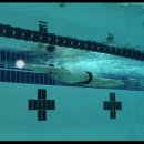 Speedo Pace Club Tutorials - Breaststroke 이미지