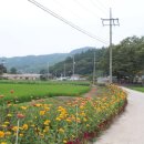 완주 원당교차로 이미지
