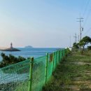 마도로 1 | 마도방파제 서해 노지캠핑 &amp; 차박 1박2일 후기