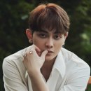로이네 스포츠경향