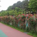 서호공원 이미지