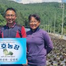 박경화
