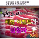 혜성유황오리 이미지