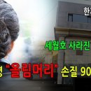 머리치장 이미지