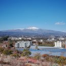 한라산을바라보는쉼터 이미지