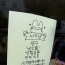 제주도 함덕 아기자기한 냥 소품샵 사가냥 구매후기