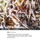 화산영농조합법인 이미지