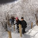 안성면104 이미지