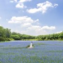 구도목장 이미지