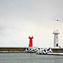 물치어촌계 화장실 이미지