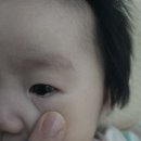 연세똘똘이소아청소년과의원 이미지