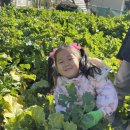 미예뜰유치원 이미지