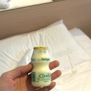 삼일카정비 | 치앙마이와 여름 ♡ (2)