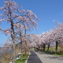 바우길 16구간 이미지