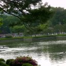 분당중학교 이미지